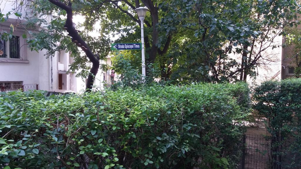Premium Family Apartment, Floreasca Area Apartment